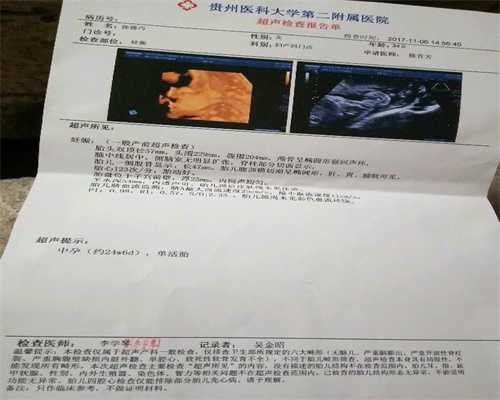 上海代孕_上海找代孕电话_上海在代孕要多少钱
