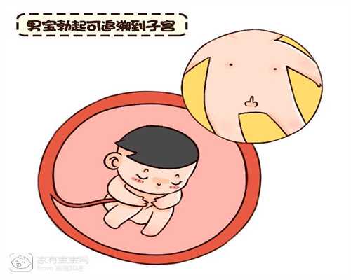 上海代孕~上海想做代孕妈妈~上海借卵子生子可行