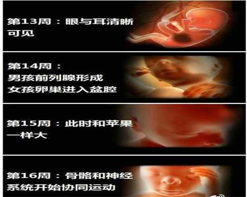 上海代孕_上海正规代孕网_上海借卵试管的人多吗
