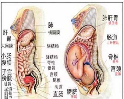 上海代孕_上海代孕是不是违法_上海代孕生孩子哪