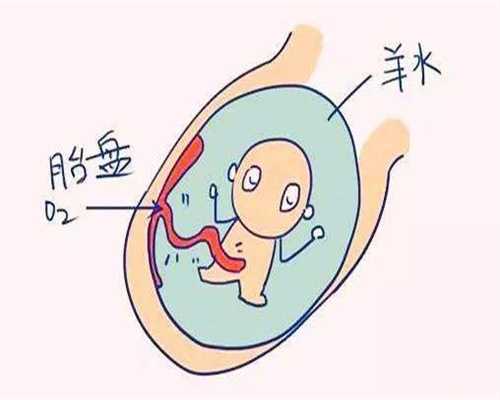 上海代孕-上海想做代孕妈妈-上海包成功率的代孕
